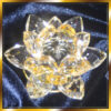 Goldener Lotus der Erleuchteten
